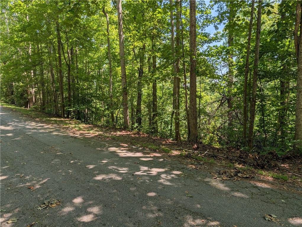 Image 3: A tranquil, tree-lined road offers a private escap