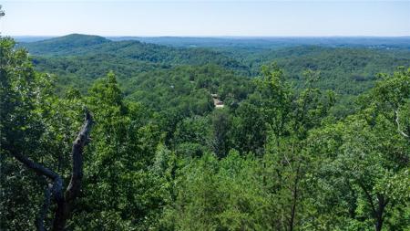 146 Glassy Falls Trail