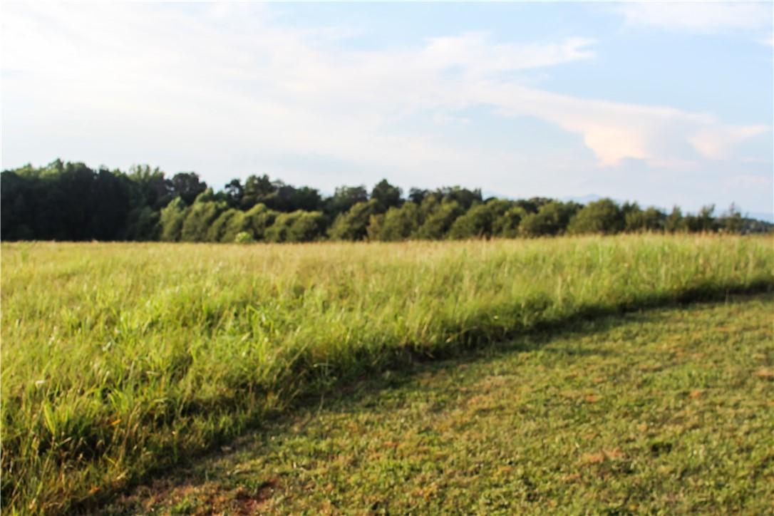 Image 4: A verdant, open field extends towards a dense tree