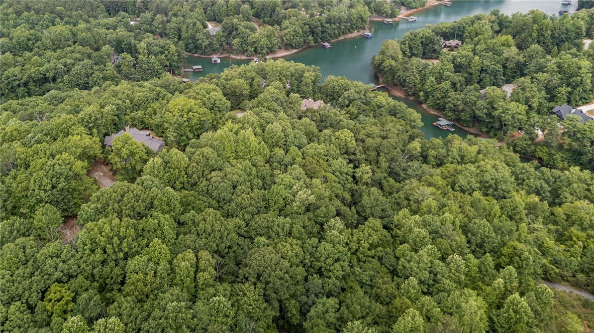Image 4: An aerial perspective reveals a serene waterfront