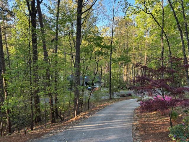 Image 2: A tranquil tree-lined driveway leads to a secluded