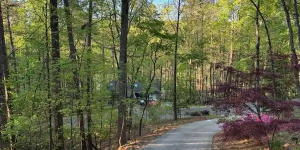 Image 2: A tranquil tree-lined driveway leads to a secluded