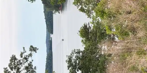 Image 2: Natural scenery frames a tranquil lake, promising