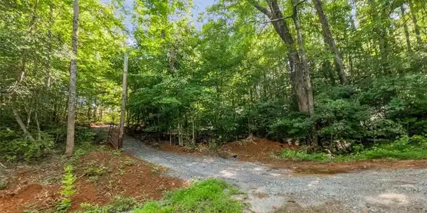 Image 3: Mature trees surround a gravel driveway leading in