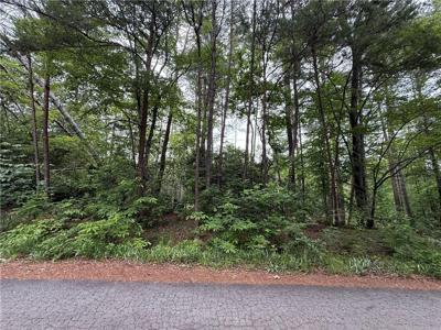 318 Gauley Falls Road