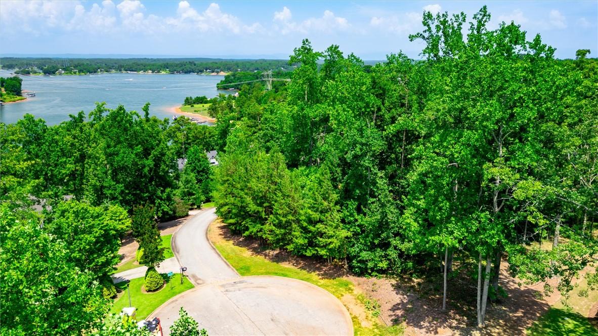 Image 2: A winding road descends through lush greenery towa