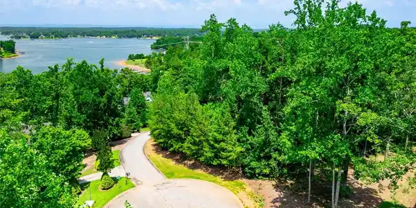 Image 2: A winding road descends through lush greenery towa