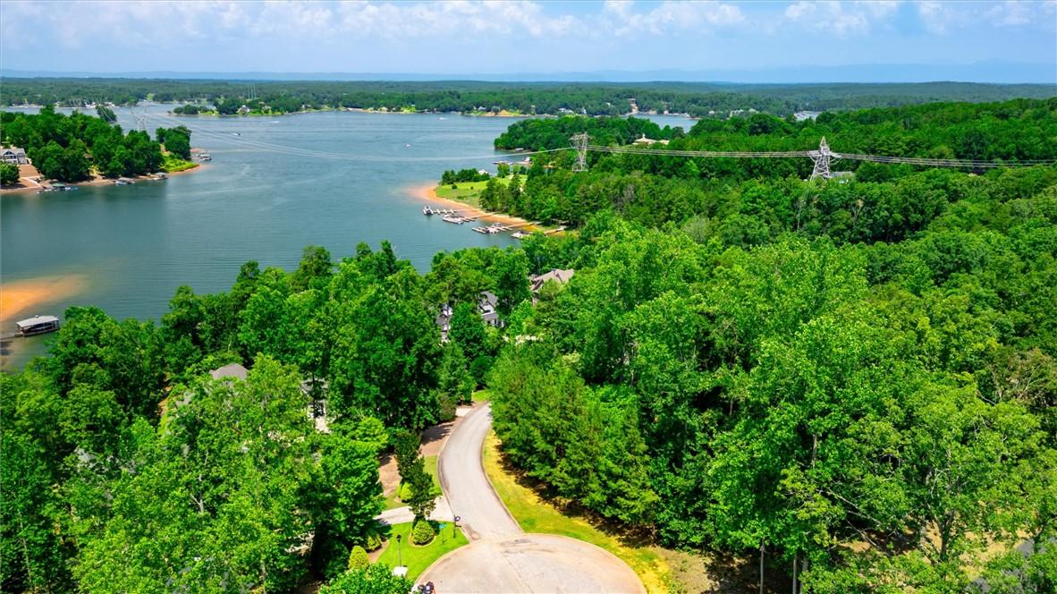 Image 3: A winding road descends through lush trees to reve