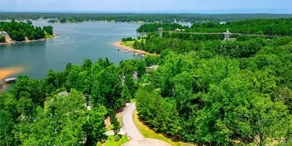 Image 3: A winding road descends through lush trees to reve