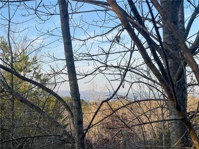00 Walking Tall Ridge