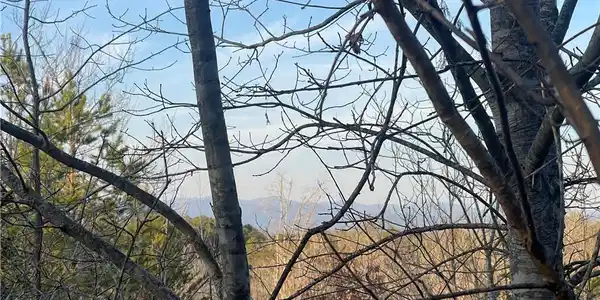 00 Walking Tall Ridge