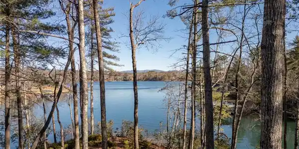 Lot 54 - 507 Turtlehead Drive