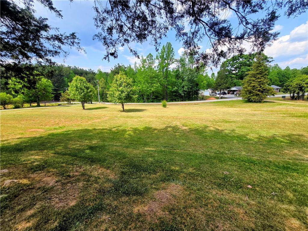 Image 4: Green expanse with mature trees offering serene na
