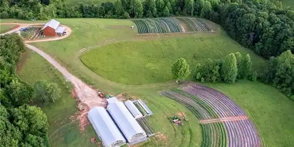 Image 2: Rolling green hills and structured cultivation fie