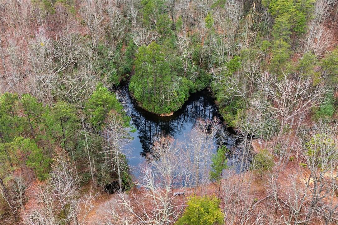 Image 2: This aerial view showcases a tranquil pond surroun