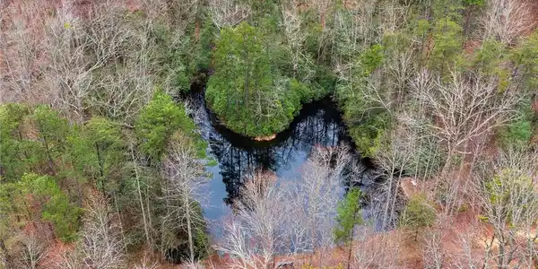 Image 2: This aerial view showcases a tranquil pond surroun