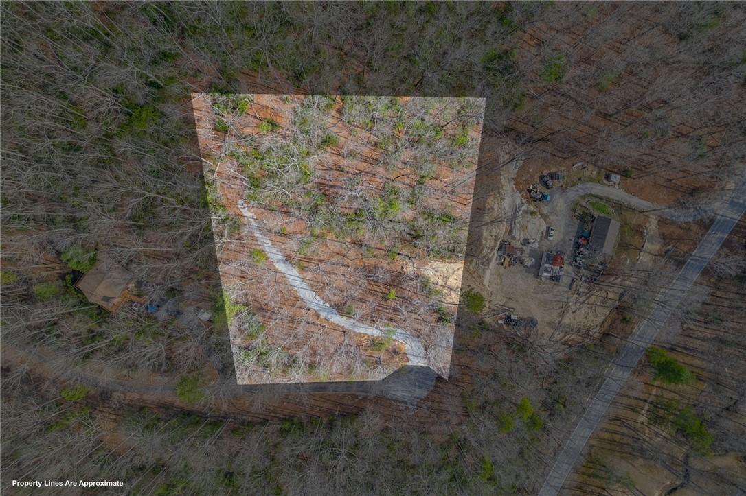 Image 1: A verdant, private lot awaits your vision, ready f