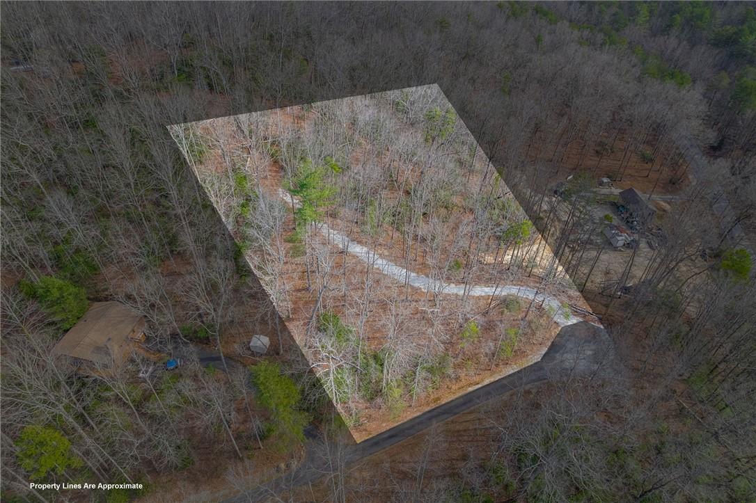 Image 3: An aerial view showcases a tree-filled lot with a