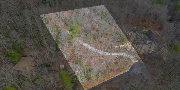 Image 3: An aerial view showcases a tree-filled lot with a