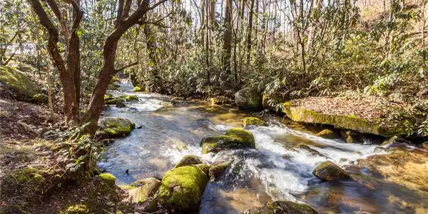 Image 2: A rushing stream winds through moss-covered rocks