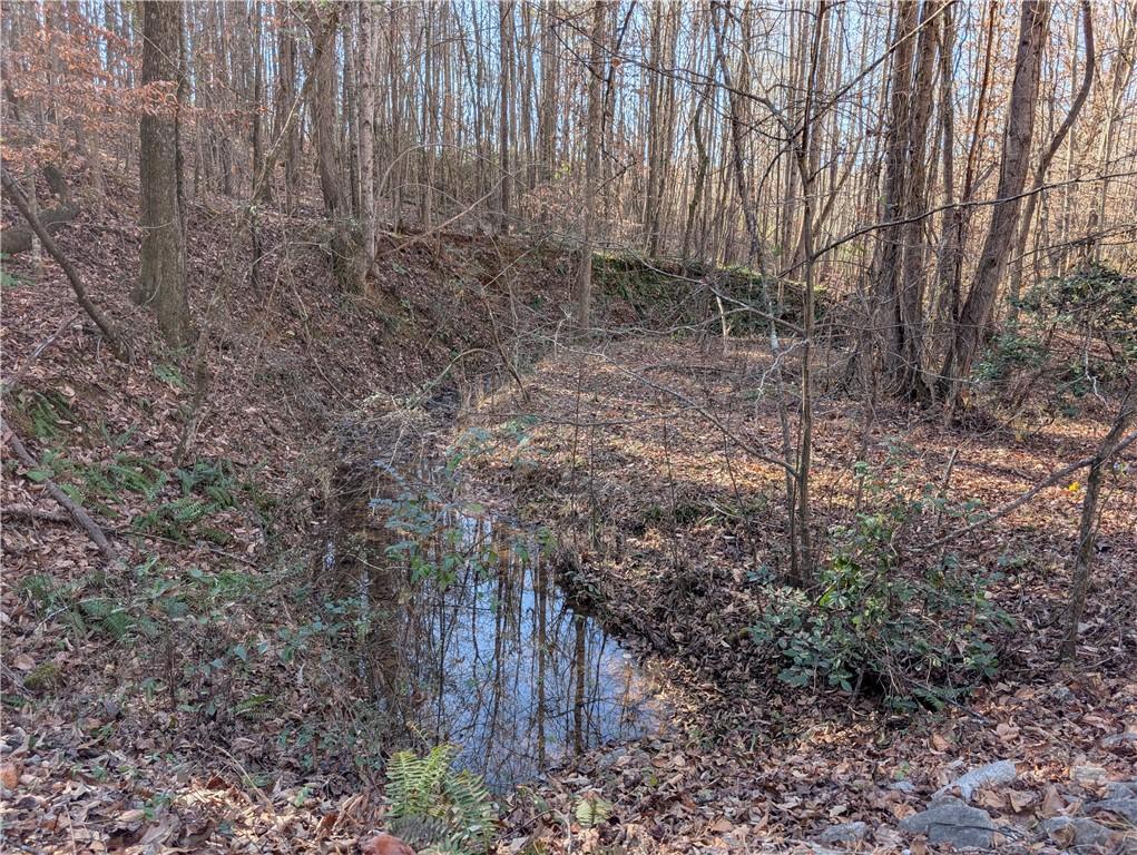Image 4: 3 Creeks on Property