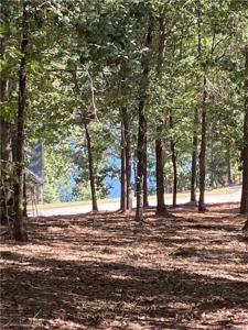 335 Long Cove Trail