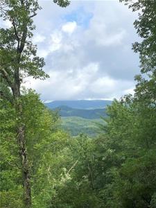113 White Tree Ridge
