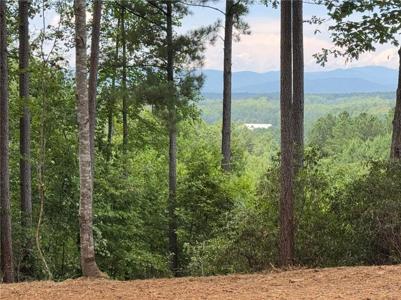 382 Cliffs South Parkway