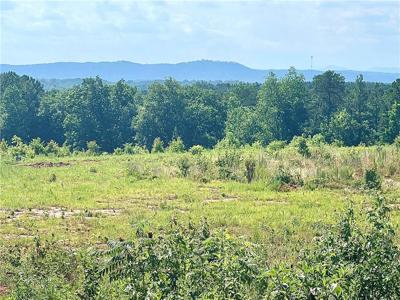 556 Poplar Springs- Tract A-2 Road