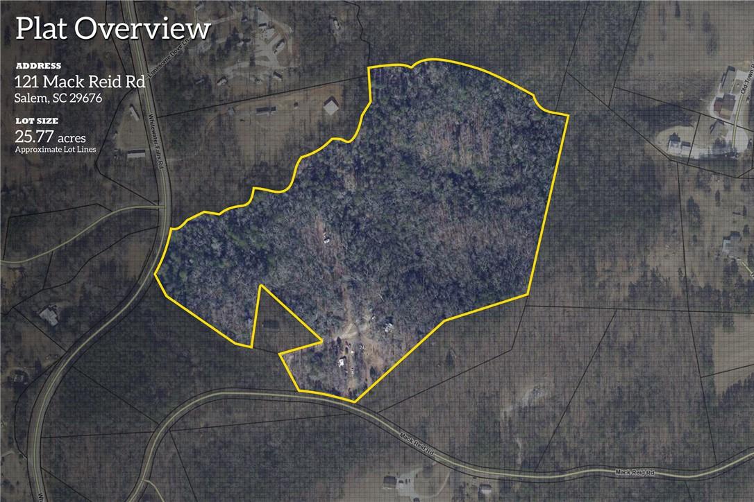Image 2: Explore this expansive lot featuring diverse tree