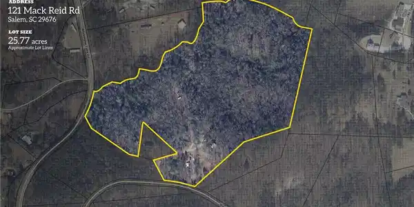 Image 2: Explore this expansive lot featuring diverse tree