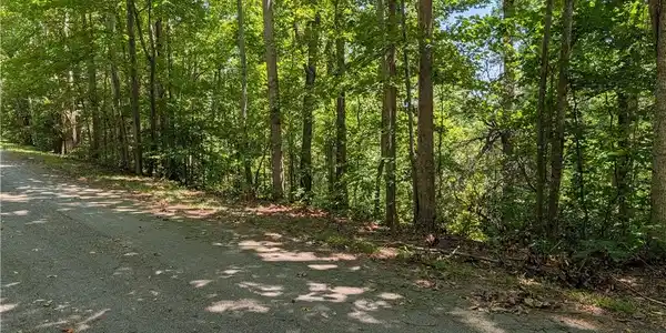 Image 2: A tranquil, tree-lined road offers a private escap