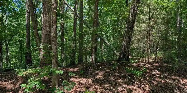 Image 4: A tranquil wooded lot offers a private, naturally