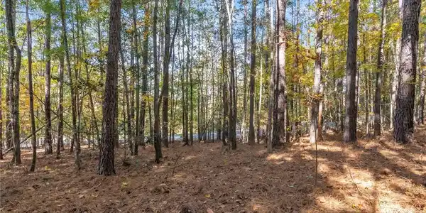 Lot 202 Waterside Crossing (Shorewinds Ct)