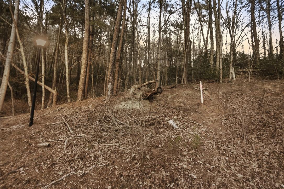 Image 4: This expansive lot offers a secluded wooded settin