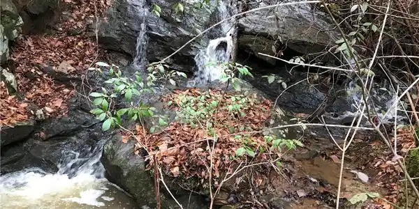 Image 2: Multiple waterfalls