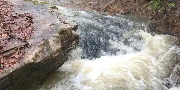Image 4: Rivers runs through the length of the property.