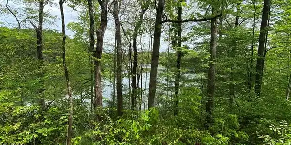 Image 3: A tranquil wooded lot offers glimpses of a peacefu